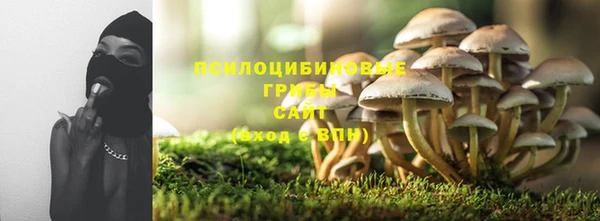 МДПВ Осташков
