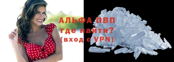 ALPHA PVP Остров