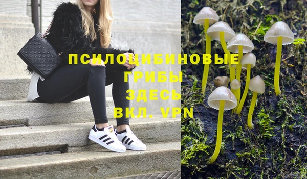 прущая мука Осинники