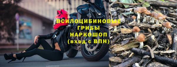 прущая мука Осинники