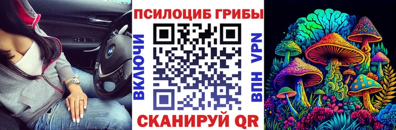 Псилоцибиновые грибы Psilocybe  Славянск-на-Кубани 