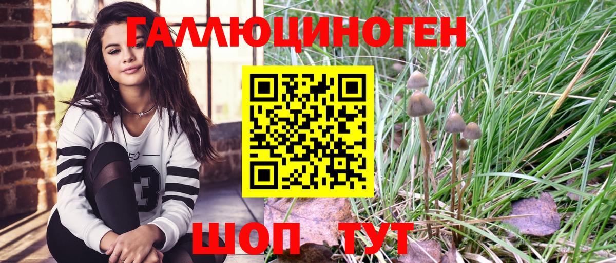 Псилоцибиновые грибы мухоморы Славянск-на-Кубани