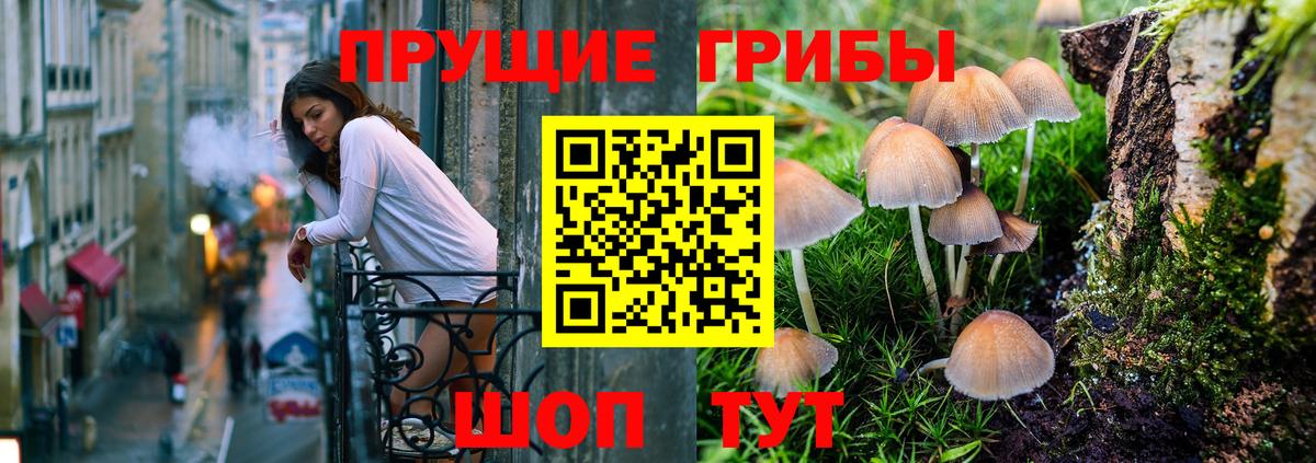 Галлюциногенные грибы Psilocybine cubensis  Славянск-на-Кубани 